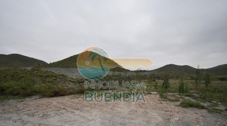 Múrcia - Cartagena - 49803m2