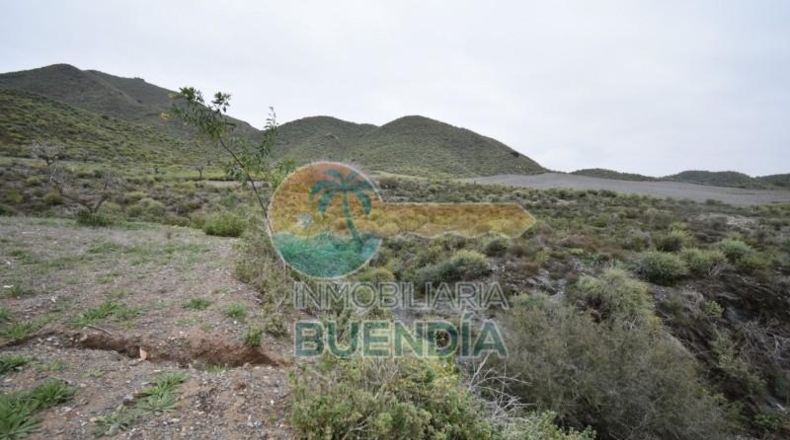 Múrcia - Cartagena - 49803m2