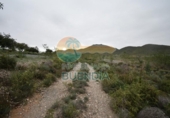 Non-developable land for sale on España, Cartagena, ref: TR117533 photo