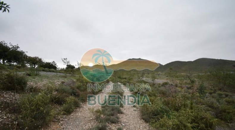 Múrcia - Cartagena - 49803m2