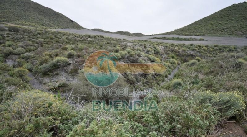 Múrcia - Cartagena - 49803m2