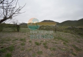 Non-developable land for sale on España, Cartagena, ref: TR117533 photo