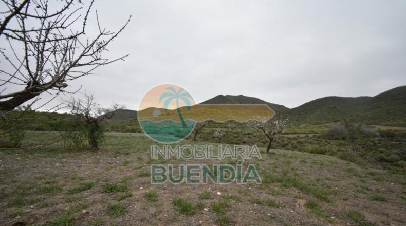 Múrcia - Cartagena - 49803m2
