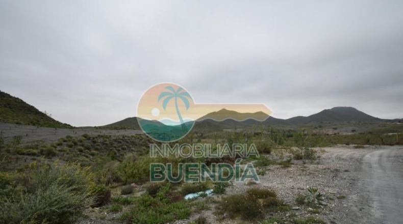 Múrcia - Cartagena - 49803m2