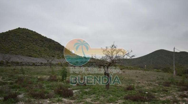 Múrcia - Cartagena - 49803m2