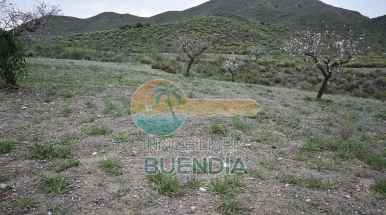Múrcia - Cartagena - 49803m2
