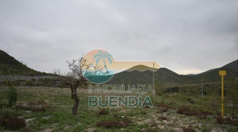 Múrcia - Cartagena - 49803m2