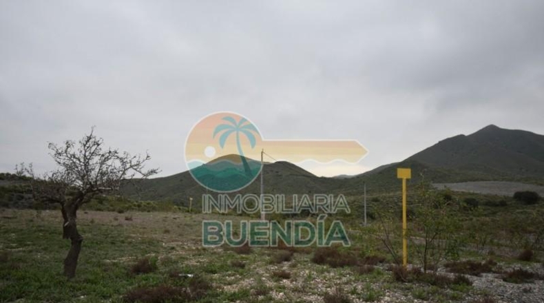 Múrcia - Cartagena - 49803m2