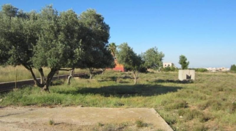 Castellón - Castellón de la Plana - 2557m2