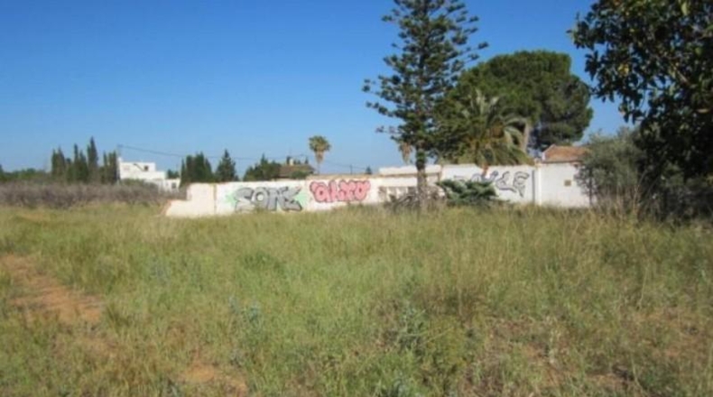 Castellón - Castellón de la Plana - 2557m2