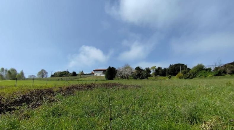 Asturias - Cudillero - 1560m2