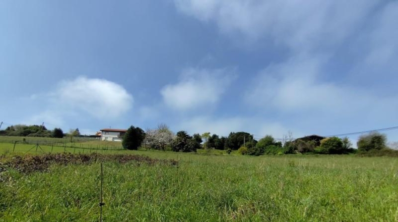 Asturias - Cudillero - 1560m2