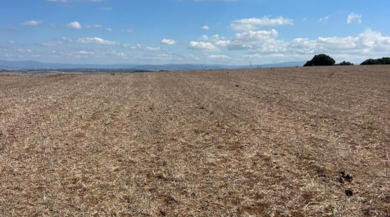 Cadiz - Vejer de la Frontera - 35000m2