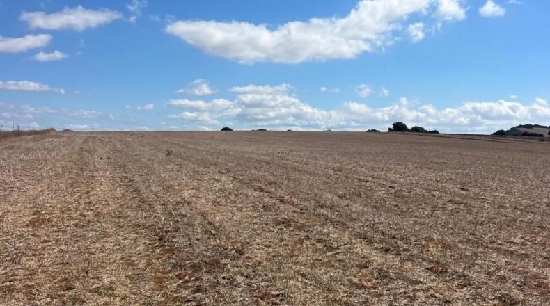 Cadiz - Vejer de la Frontera - 35000m2