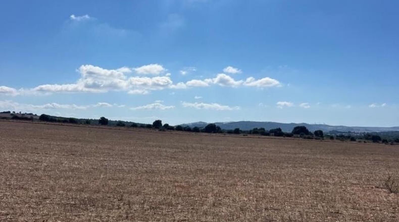 Cadiz - Vejer de la Frontera - 35000m2