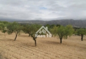 Country house with land for sale on España, Tibi, ref: TR361265 photo