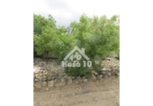 Country house with land for sale on España, Tibi, ref: TR361265 photo