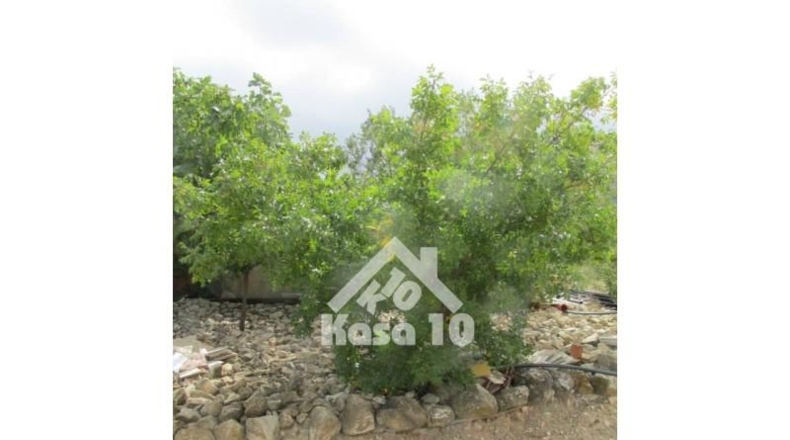 Аликанте - Tibi - 23262m2
