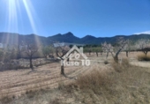 Country house with land for sale on España, Tibi, ref: TR361265 photo