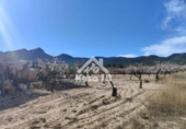 Country house with land for sale on España, Tibi, ref: TR361265 photo
