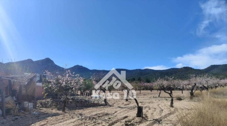 Аликанте - Tibi - 23262m2