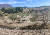 Country house with land for sale on España, Tibi, ref: TR361265 photo