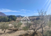 Country house with land for sale on España, Tibi, ref: TR361265 photo