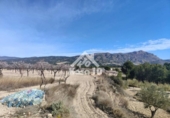 Country house with land for sale on España, Tibi, ref: TR361265 photo