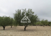 Country house with land for sale on España, Tibi, ref: TR361265 photo