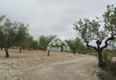 Country house with land for sale on España, Tibi, ref: TR361265 photo
