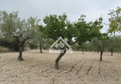 Country house with land for sale on España, Tibi, ref: TR361265 photo