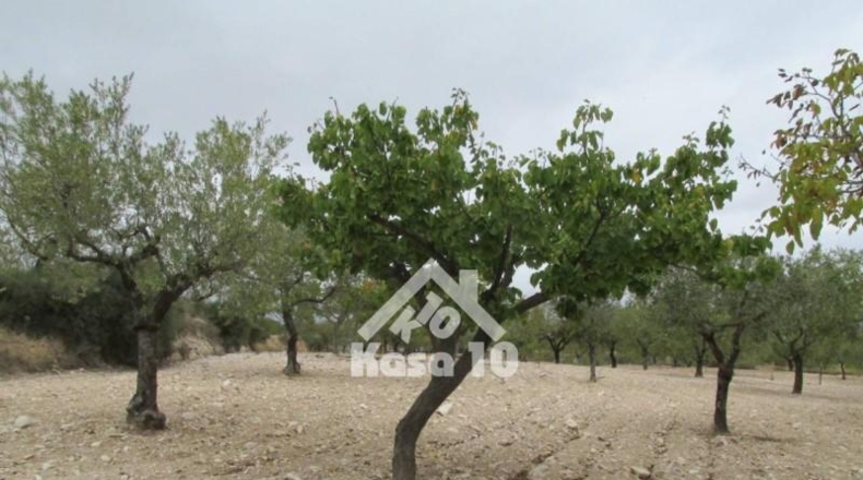Аликанте - Tibi - 23262m2