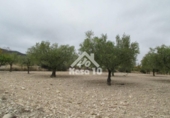 Country house with land for sale on España, Tibi, ref: TR361265 photo