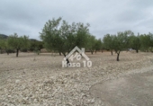 Country house with land for sale on España, Tibi, ref: TR361265 photo