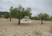 Country house with land for sale on España, Tibi, ref: TR361265 photo