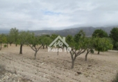 Country house with land for sale on España, Tibi, ref: TR361265 photo