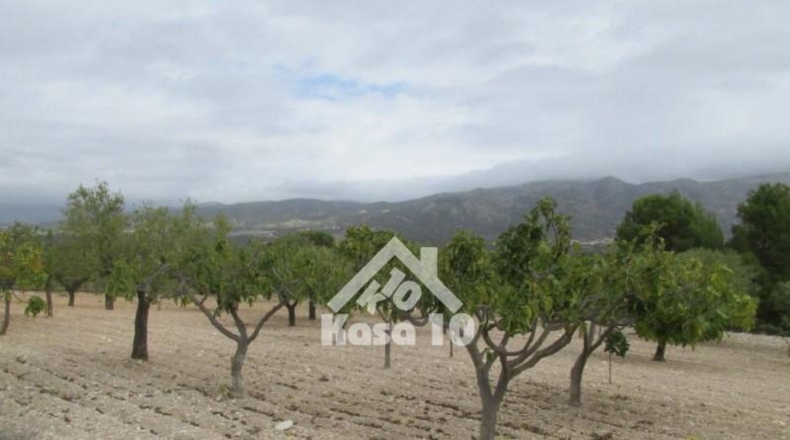 Аликанте - Tibi - 23262m2