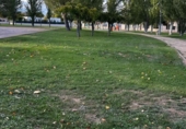 Terreno no urbanizable en venta en la España, Utebo, ref: TR359208 foto