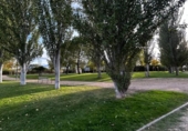 Terreno no urbanizable en venta en la España, Utebo, ref: TR359208 foto