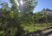 Parcel·la urbanitzable en venda a la España, Vacarisses, ref.: TR341262 foto