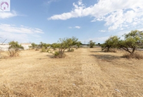 Moraleda de Zafayona 4550&nbsp;m²