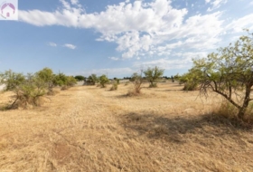 Moraleda de Zafayona 4550&nbsp;m²