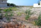 Parcel·la urbanitzable en venda a la España, San Javier, ref.: TR355527 foto