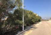 Parcel·la urbanitzable en venda a la España, San Javier, ref.: TR355527 foto