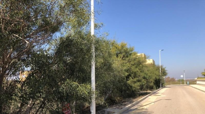 Murcia - San Javier - 600m2