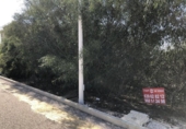Parcel·la urbanitzable en venda a la España, San Javier, ref.: TR355527 foto