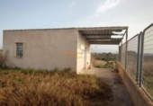 Casa de camp amb terreny en venda a la España, Crevillent, ref.: TR143215 foto