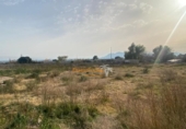 Casa de camp amb terreny en venda a la España, Crevillent, ref.: TR143215 foto