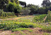 Non-developable land for sale on España, Blanes Residencial, ref: TR116455 photo