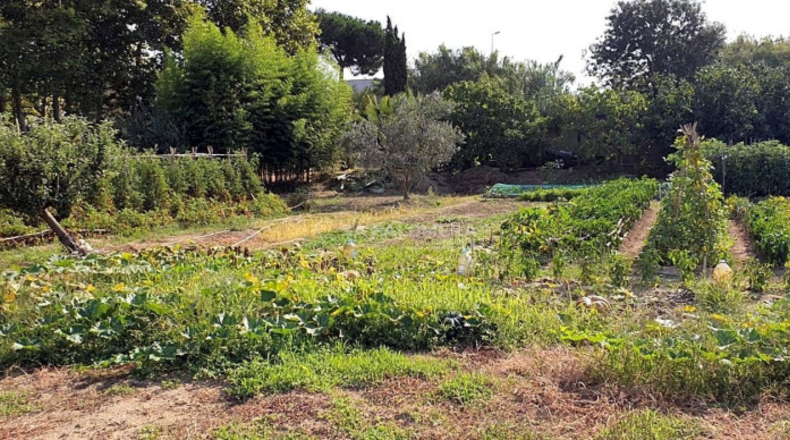 Gerona - Blanes - 4800m2